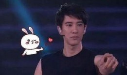 吃瓜网红王力宏视频,揭秘娱乐圈幕后真相