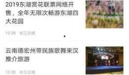 武汉新闻平台爆料事件最新,神秘事件引发社会关注，真相即将揭晓！