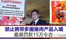 印尼猪瘟最新爆料图册,揭秘爆发原因与防控措施